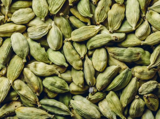 Did you know that cardamom has been used in traditional Chinese and Indian medicine for over 3000 years? Keep reading if you want to know more about all its benefits