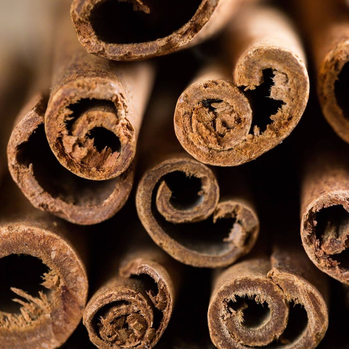 Cassia Bark Extract