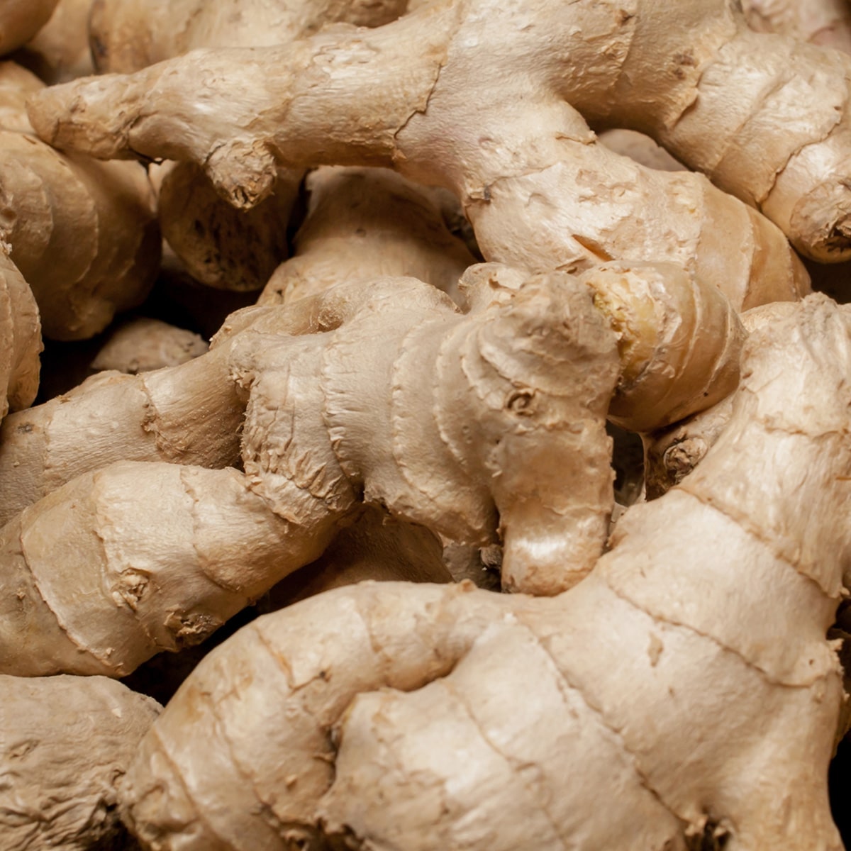Ginger extract