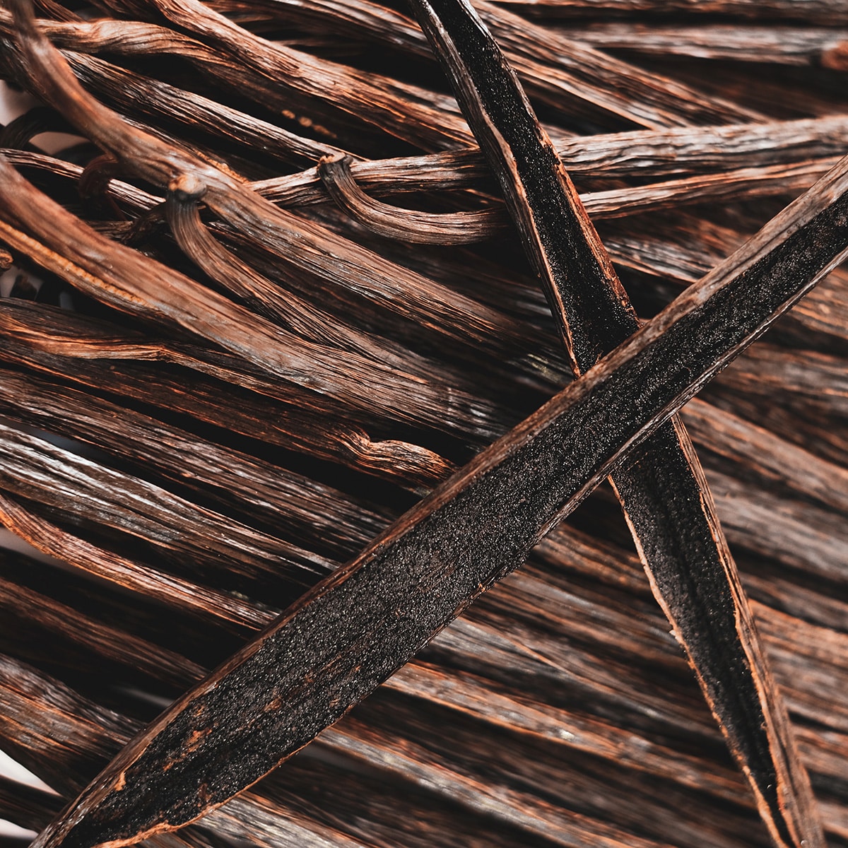 Vanilla Absolute Extract